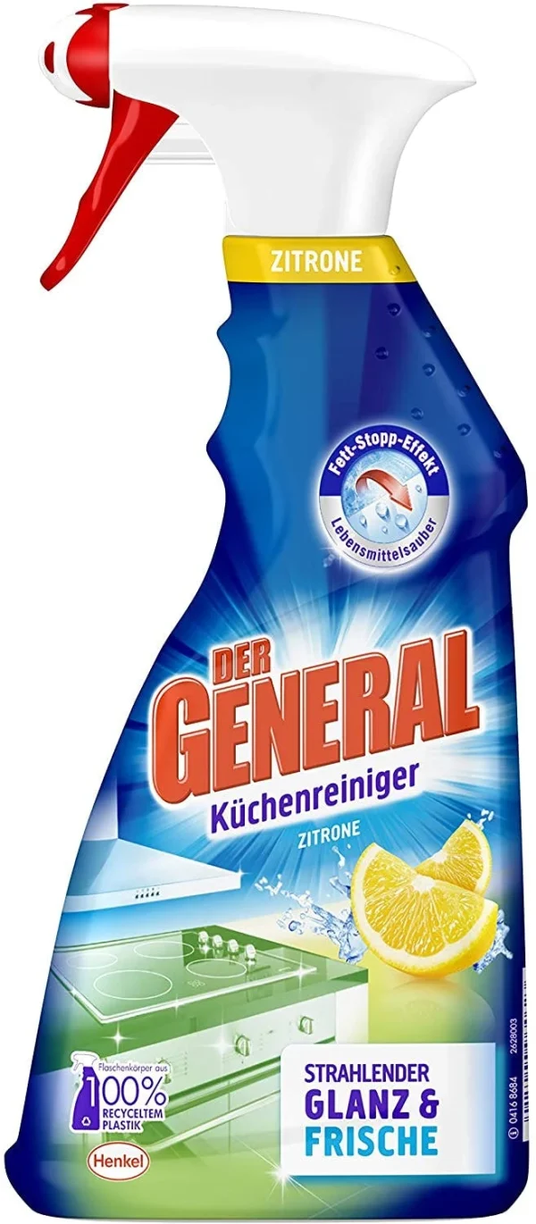 Assindia Intensiv-Reiniger Konzentrat 500ml Sprayer 5